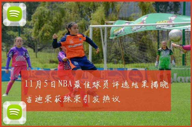 11月5日NBA最佳球员评选结果揭晓吉迪荣获殊荣引发热议