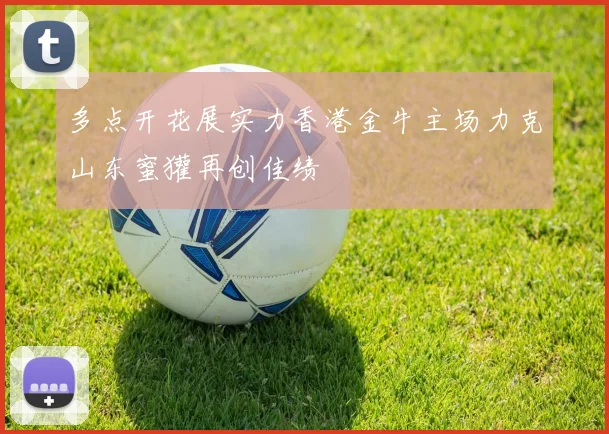 多点开花展实力香港金牛主场力克山东蜜獾再创佳绩