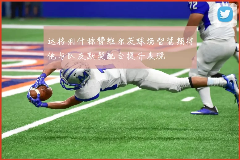 达格利什称赞维尔茨球场智慧期待他与队友默契配合提升表现