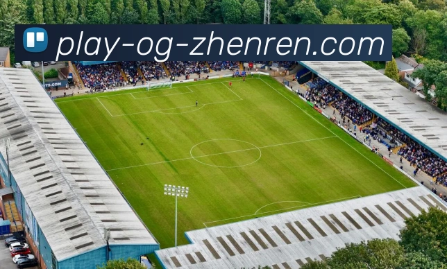 App Interface Preview